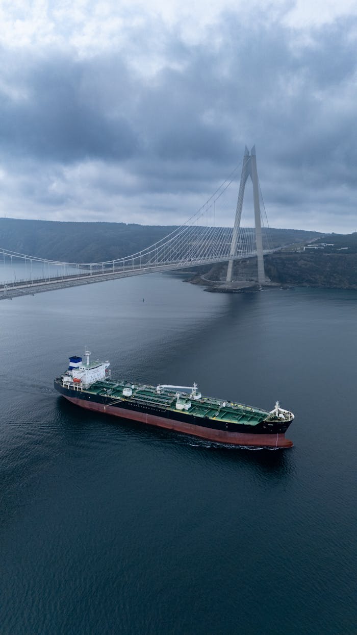 pexels-photo-30974287 Aerial view of cargo ship under a suspension bridge on a cloudy day.